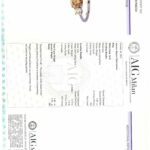 Solitärring Gr.55 1,09ct Diamant Weißgold 585/ 14K AIG Zertifikat - Bild 5 Vorschau