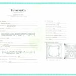 Tiffany & Co. Solitärring Gr.53 Diamant 0,21ct Platin 950 - Bild 8 Vorschau