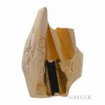 Lapponia Ring Gr.52 Gelbgold 585 / 14K Vorschau