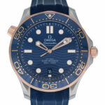 Omega Seamaster Diver 300 Ref.21022422003002 Full Set 2022 Vorschau