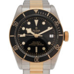 Tudor Black Bay S&G Vorschau