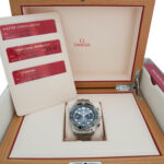 Omega Seamaster 21030445101001 Vorschau