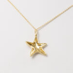 Tiffany & Co. Kette mit Anhänger Seestern Gelbgold 750 / 18K mit ca. 0,02 ct Diamant Vorschau