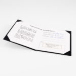 Piaget Possession Ring Gr. 52 Weißgold Full Set 2009 Vorschau