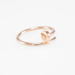 Cartier Juste un Clou Ring Gr. 52 Roségold Full Set 2024 Vorschau