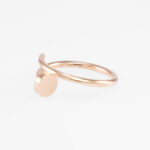 Cartier Juste un Clou Ring Gr. 52 Roségold Full Set 2024 Vorschau