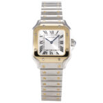Cartier Santos Ref W2SA0033 inkl Papieren 2025 Vorschau