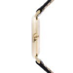 Patek Philippe Ellipse d'Or Gelbgold Ref 3839 Revision Mai 2026 Vorschau